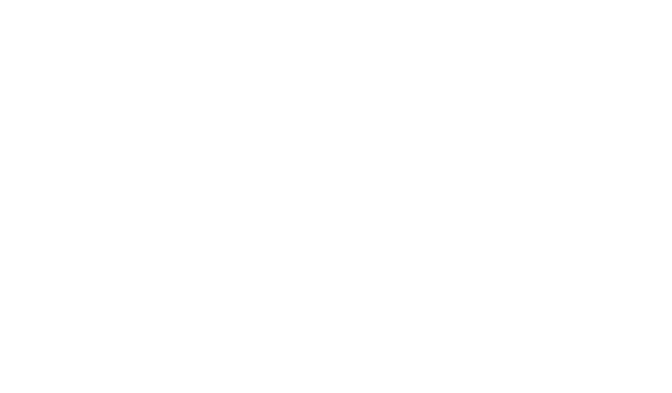 The Boston Institute Logo